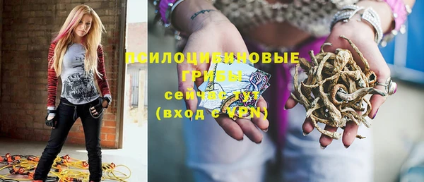 а пвп мука Сатка
